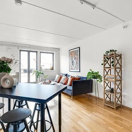 Charming Duplex Near The Beautiful Akerselva River Apartment